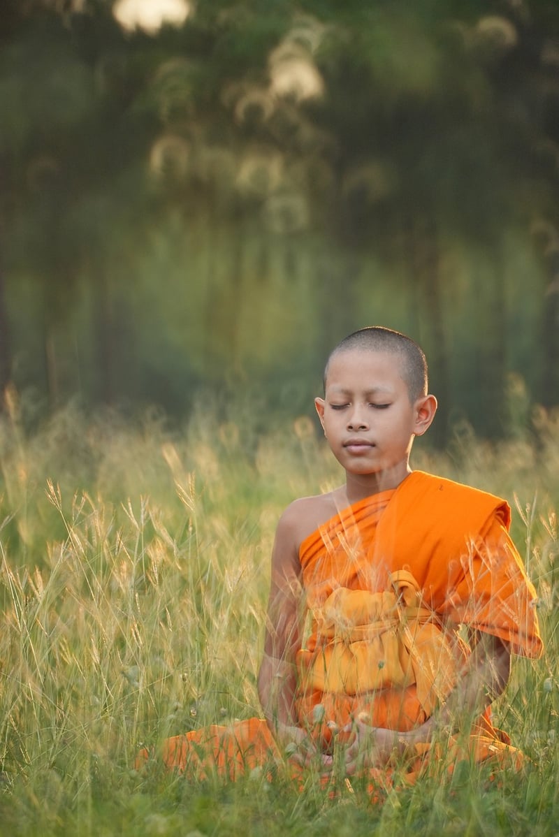 Chen Style Tai Chi
